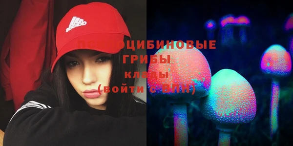 ГАЛЛЮЦИНОГЕННЫЕ ГРИБЫ Белокуриха