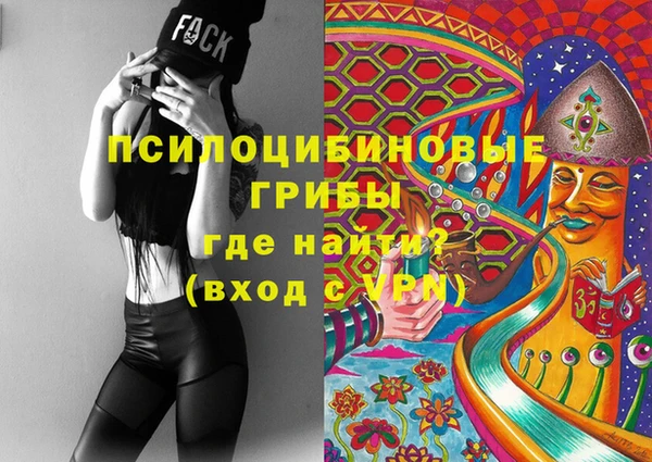 ГАЛЛЮЦИНОГЕННЫЕ ГРИБЫ Белокуриха