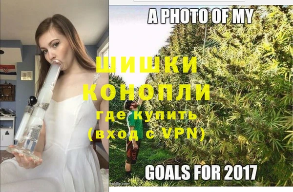 ГАЛЛЮЦИНОГЕННЫЕ ГРИБЫ Белокуриха