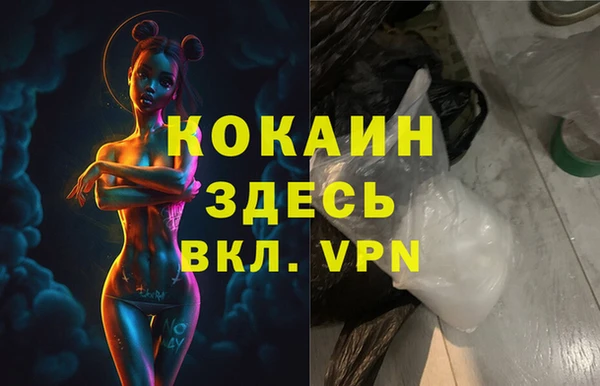 ГАЛЛЮЦИНОГЕННЫЕ ГРИБЫ Белокуриха