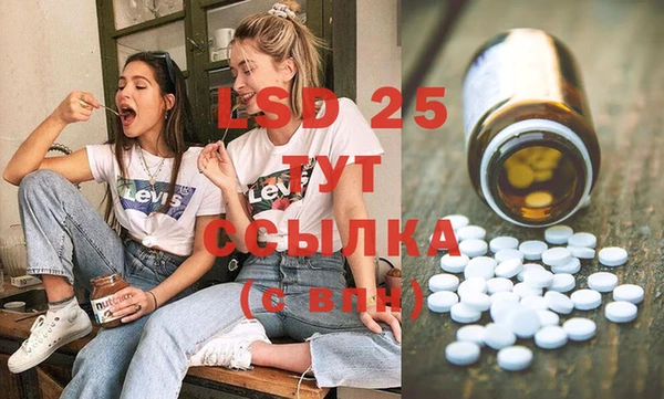 прущие грибы Белоозёрский